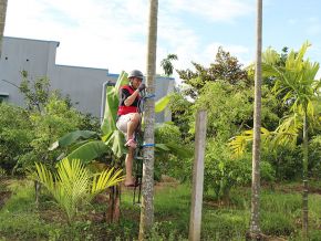 Thiết bị trèo cau